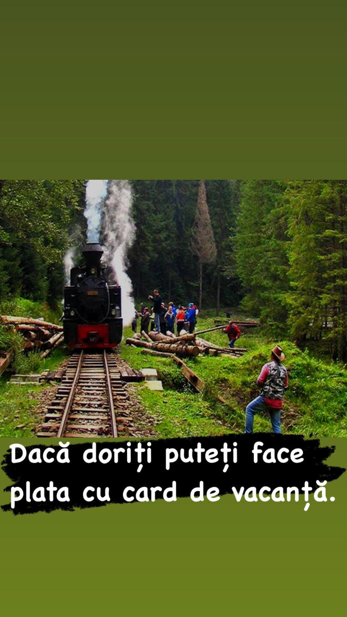 Pensiunea Iza Viseu de Jos Exteriör bild